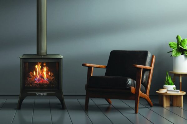 Mendota - 360 FireIn Stove - Image 2