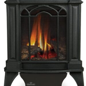 Napoleon - Arlington™ Direct Vent Stove, Natural Gas, Electronic Ignition - Black