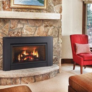 Regency - Energy E33  Gas Insert