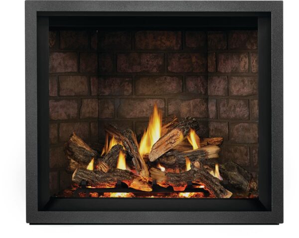 Napoleon - Elevation™ X 42 Direct Vent Fireplace, Natural Gas, Electronic Ignition