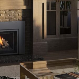 Regency - Atmosphere Gi25LE  Gas Insert