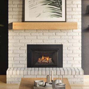 Regency - Atmosphere Gi27LE Gas Insert