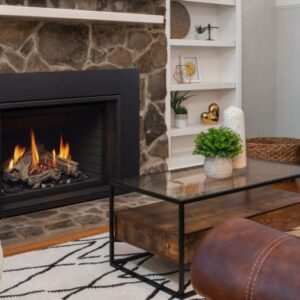 Regency - Atmosphere Gi33LE  Gas Insert