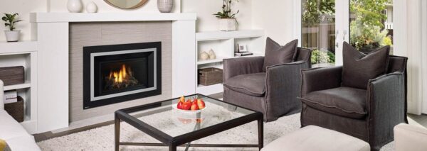 Regency - Horizon - HRI4E  Gas Insert