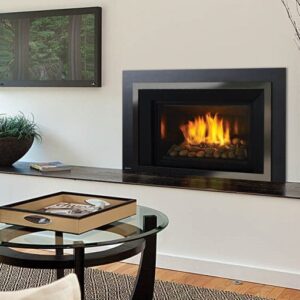 Regency - Horizon - HRI6E  Gas Insert