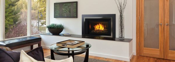 Regency - Horizon - HRI6E  Gas Insert