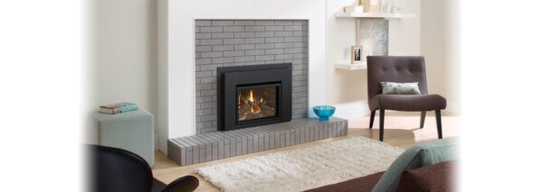 Regency - Liberty - L234  Gas Insert