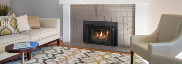 Regency - Liberty - LRI4E  Gas Insert