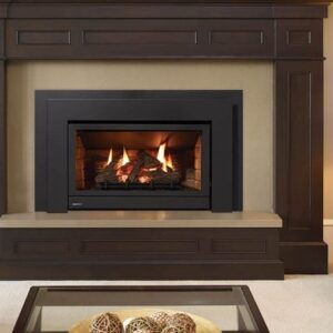 Regency - Energy U31  Gas Insert