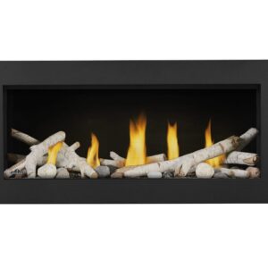 Napoleon - Vector™ 38 Direct Vent Fireplace, Natural Gas, Electronic Ignition