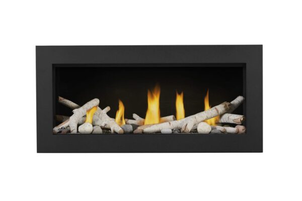 Napoleon - Vector™ 38 Direct Vent Fireplace, Natural Gas, Electronic Ignition