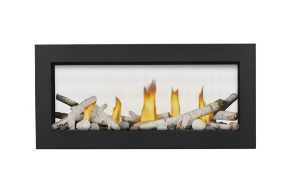 Napoleon - Vector™ 38 See Through Direct Vent Fireplace, Natural Gas, Electronic Ignition