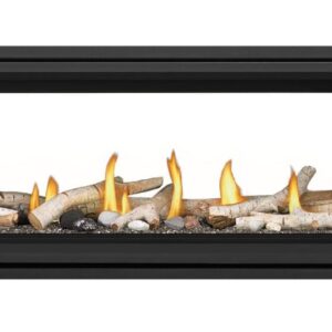 Napoleon - Vector™ 62 See Through Direct Vent Fireplace, Natural Gas, Electronic Ignition