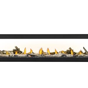 Napoleon - Vector™ 74 See Through Direct Vent Fireplace, Natural Gas, Electronic Ignition