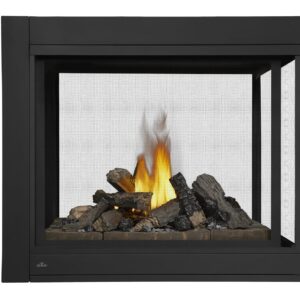 Napoleon - Ascent™ Multi-View 3-Sided Direct Vent Fireplace, Natural Gas, Electronic Ignition