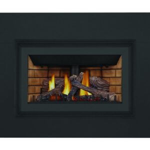 Napoleon - Inspiration™ ZC Gas Fireplace Insert , Natural Gas, Millivolt Ignition