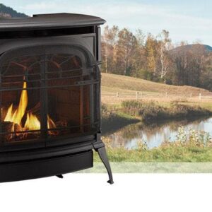 Vermont Castings Stardance Direct Vent Gas Stove