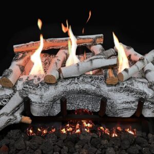 Grand Canyon Gas Logs - Aspen Birch