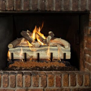 Grand Canyon Gas Logs - Blue Pine Split